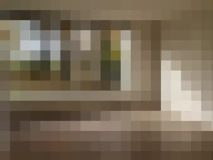 Laan van Rijnwijk 1 A5 Zeist thumbnail 11