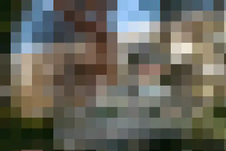 Laan van Rijnwijk 1 A5 Zeist thumbnail 24