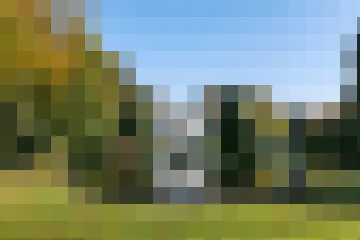 Laan van Rijnwijk 1 A5 Zeist thumbnail 25