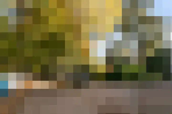 Laan van Rijnwijk 1 A5 Zeist thumbnail 29