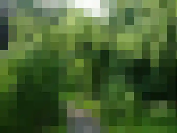 Laan van Rijnwijk 1 A5 Zeist thumbnail 30