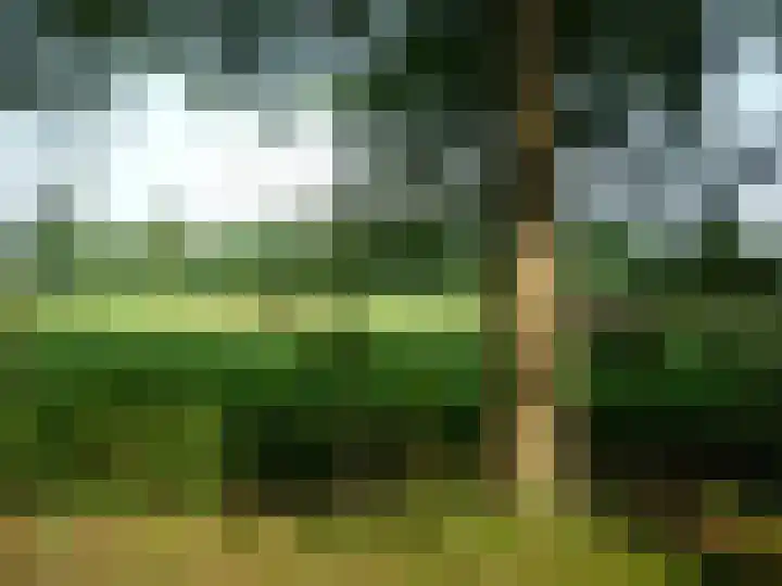 Laan van Rijnwijk 1 A5 Zeist thumbnail 31