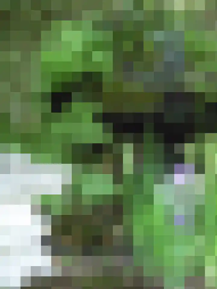 Laan van Rijnwijk 1 A5 Zeist thumbnail 32