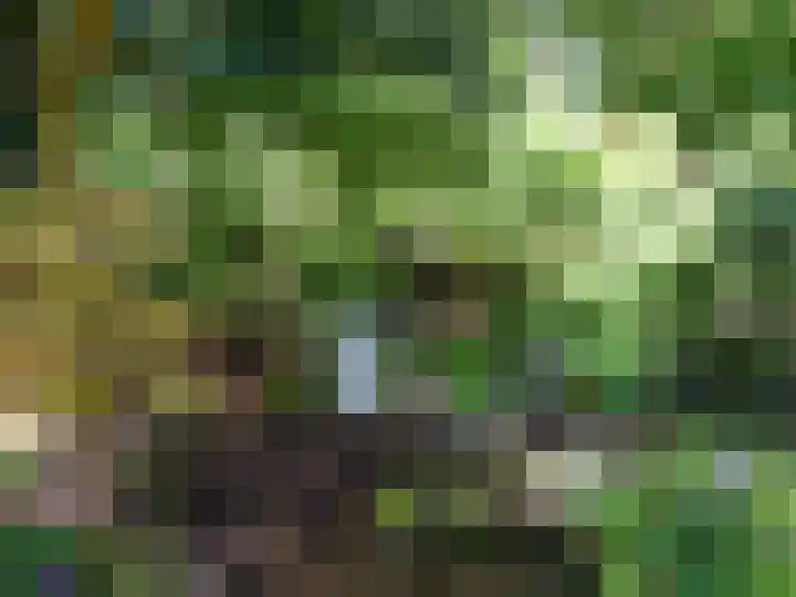 Laan van Rijnwijk 1 A5 Zeist thumbnail 35