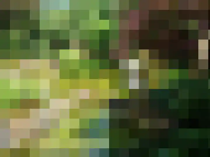 Laan van Rijnwijk 1 A5 Zeist thumbnail 37