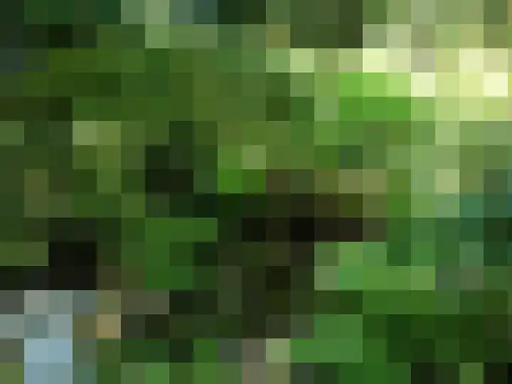 Laan van Rijnwijk 1 A5 Zeist thumbnail 38