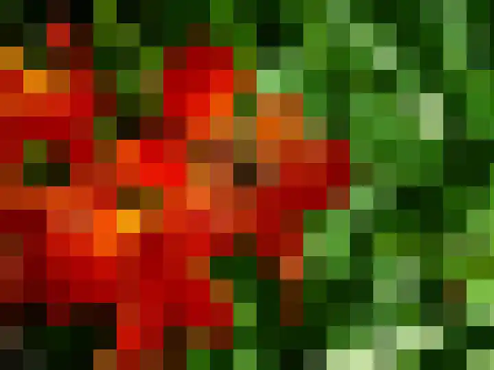 Laan van Rijnwijk 1 A5 Zeist thumbnail 41