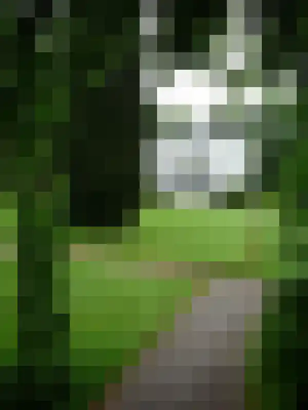 Laan van Rijnwijk 1 A5 Zeist thumbnail 43