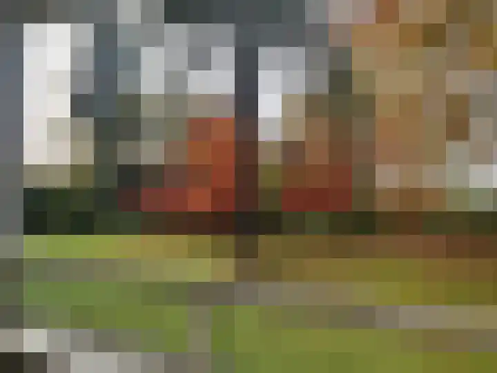 Laan van Rijnwijk 1 A5 Zeist thumbnail 8