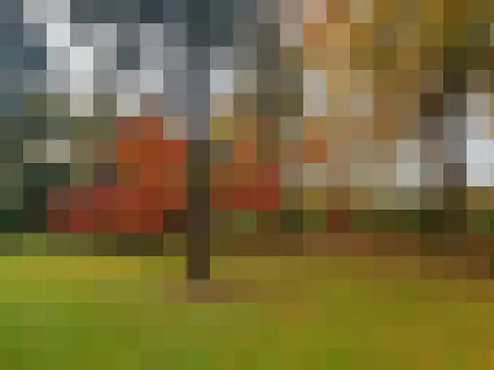 Laan van Rijnwijk 1 A5 Zeist thumbnail 9