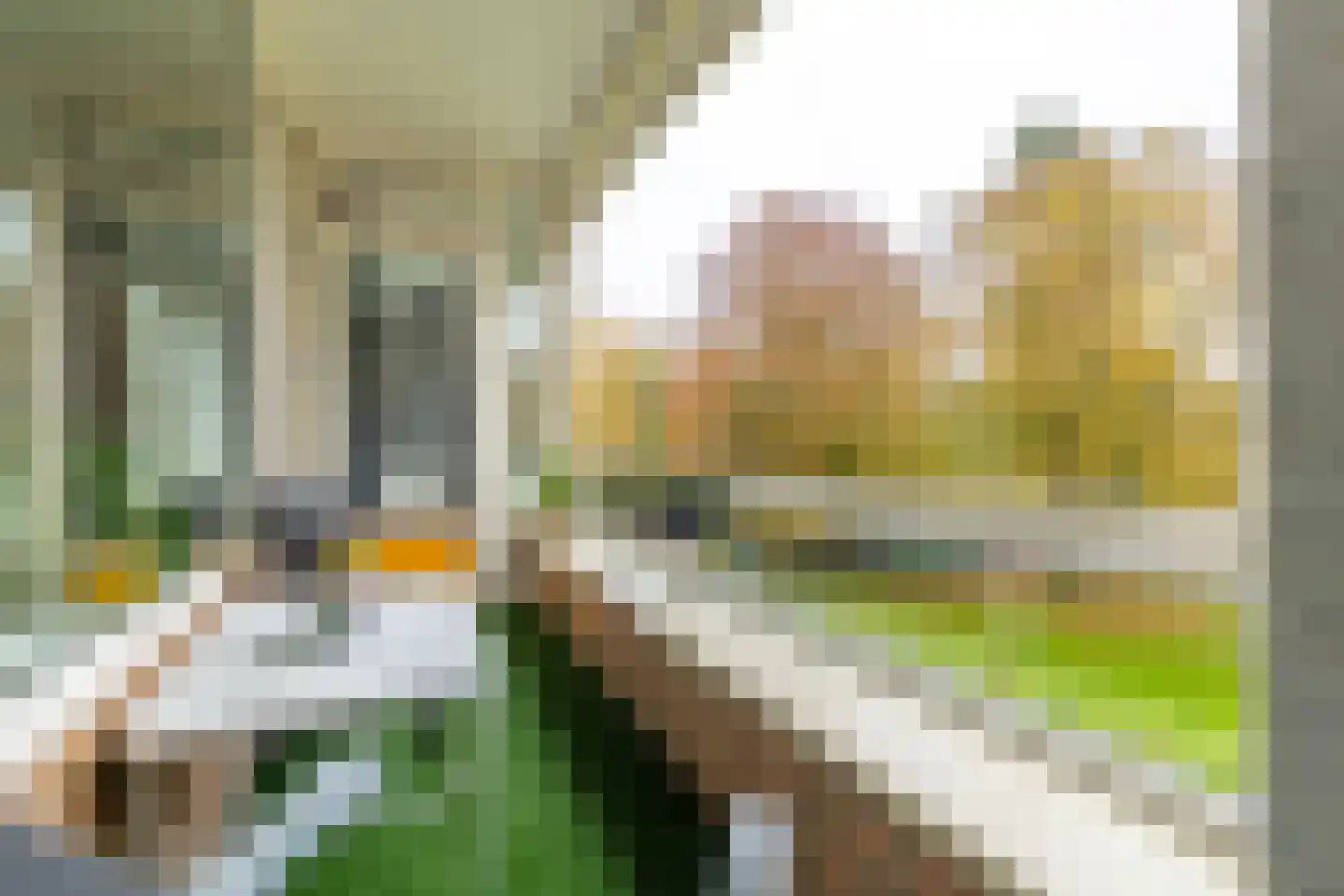 Laan van Rijnwijk 1 B21 Zeist thumbnail 16