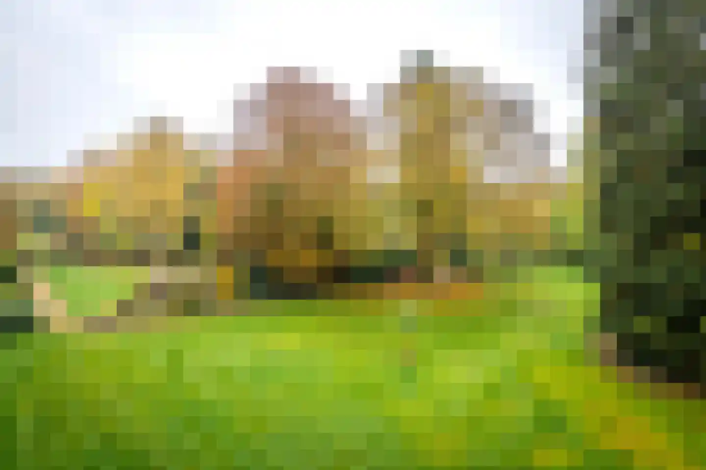 Laan van Rijnwijk 1 B21 Zeist thumbnail 17