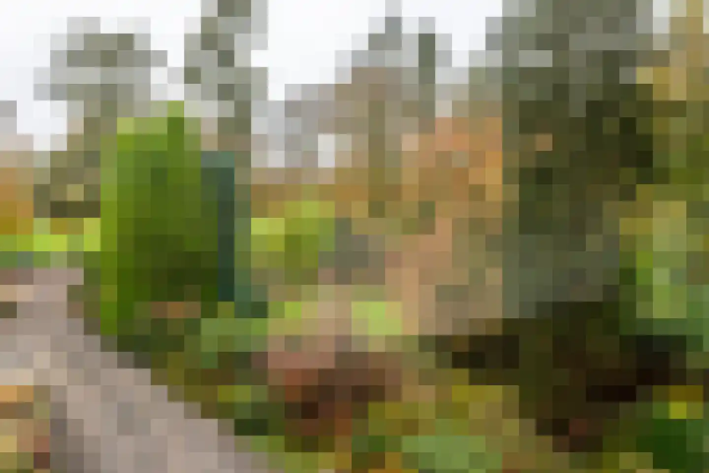 Laan van Rijnwijk 1 B21 Zeist thumbnail 18