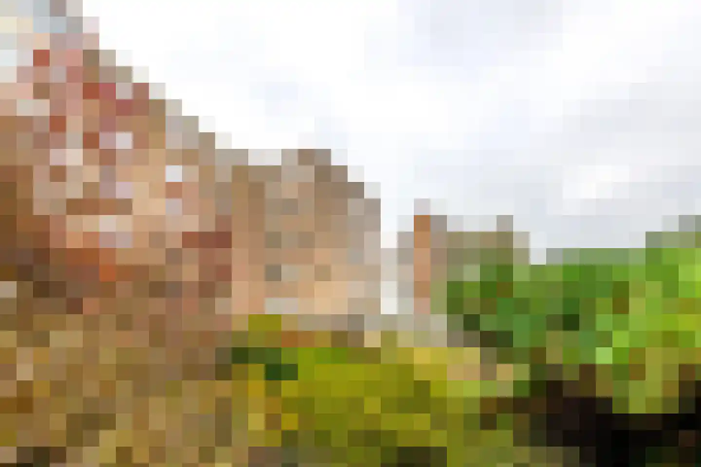 Laan van Rijnwijk 1 B21 Zeist thumbnail 23