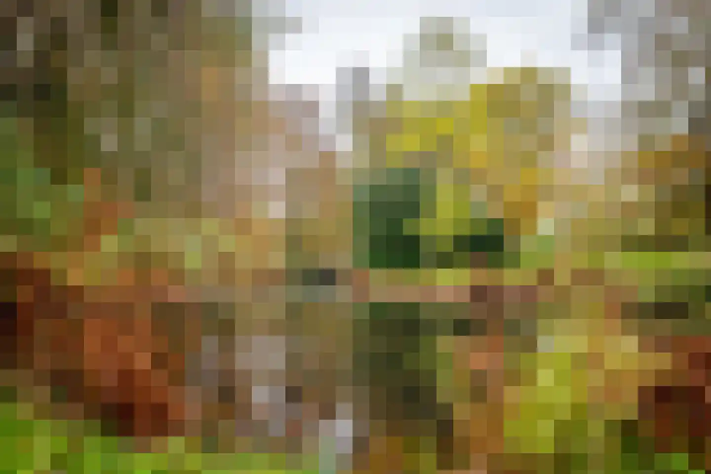 Laan van Rijnwijk 1 B21 Zeist thumbnail 24