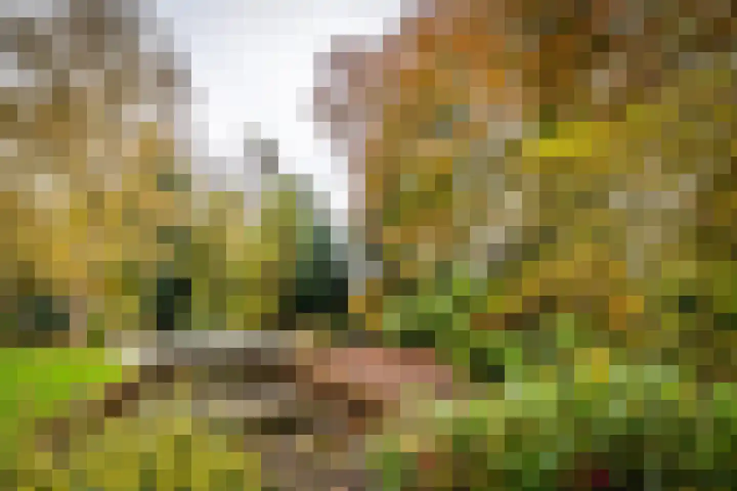Laan van Rijnwijk 1 B21 Zeist thumbnail 26