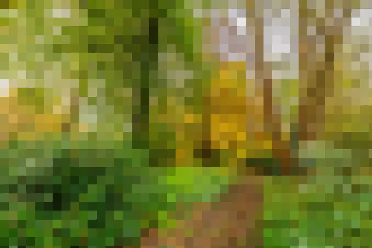 Laan van Rijnwijk 1 B21 Zeist thumbnail 27
