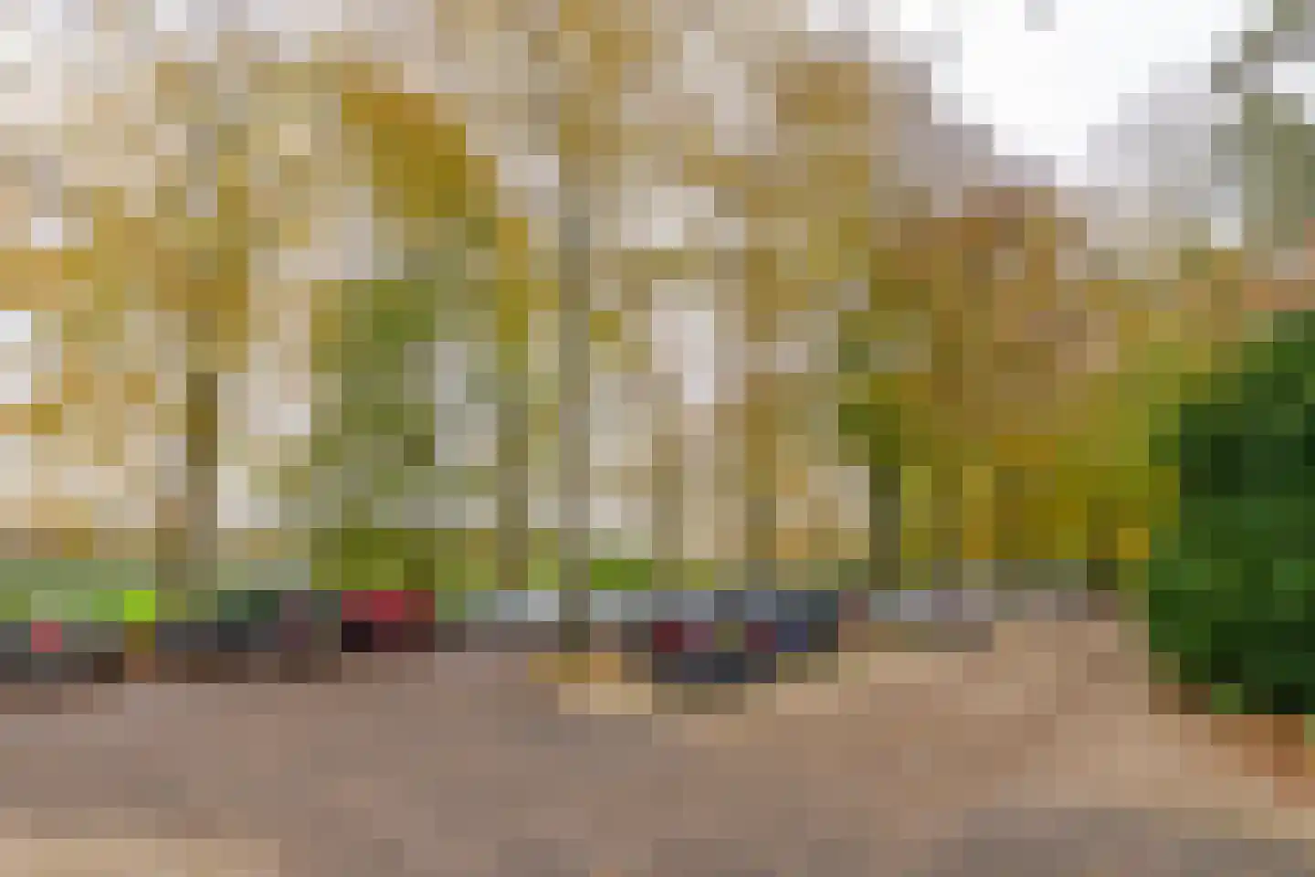Laan van Rijnwijk 1 B21 Zeist thumbnail 28