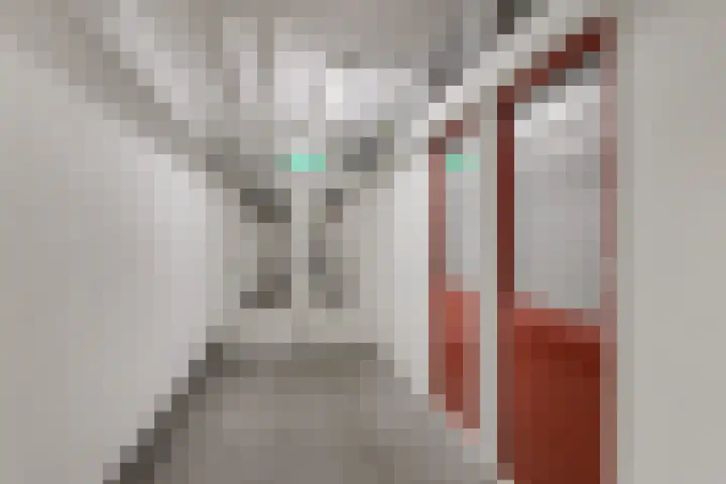 Laan van Rijnwijk 1 C1 Zeist thumbnail 24