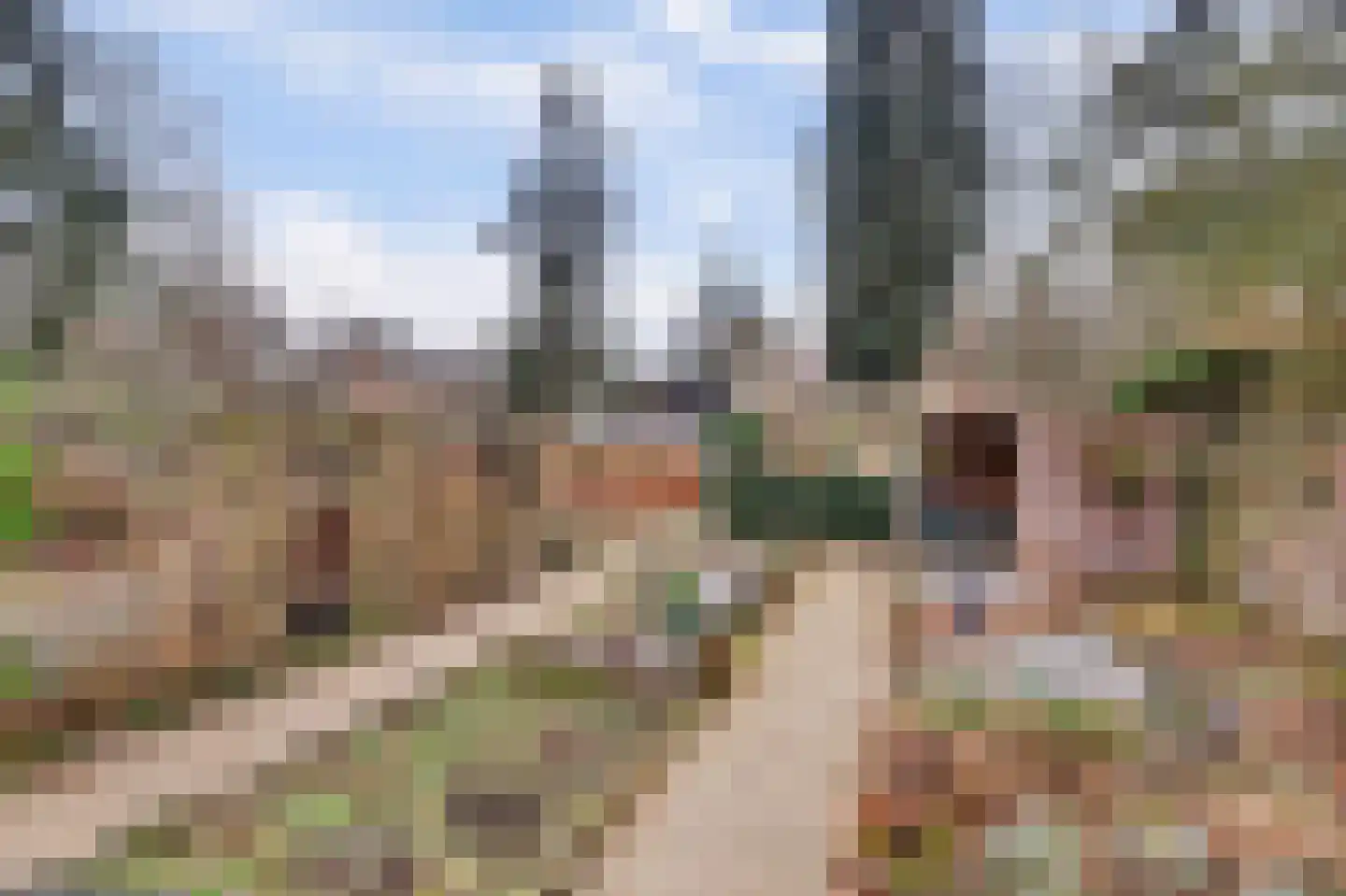 Laan van Rijnwijk 1 C1 Zeist thumbnail 29