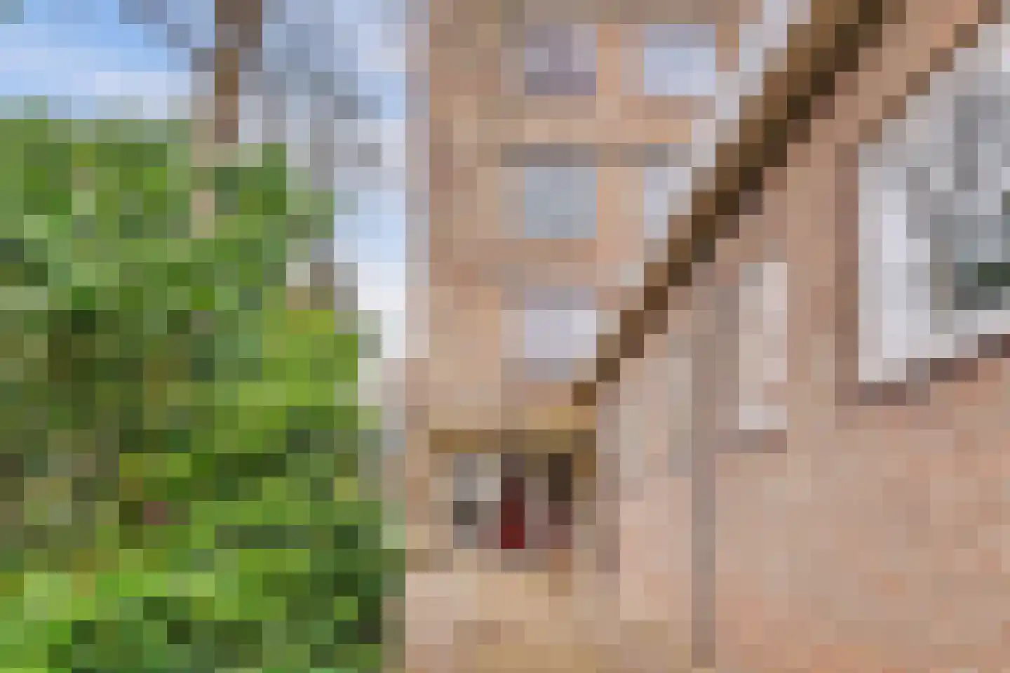 Laan van Rijnwijk 1 C1 Zeist foto 3