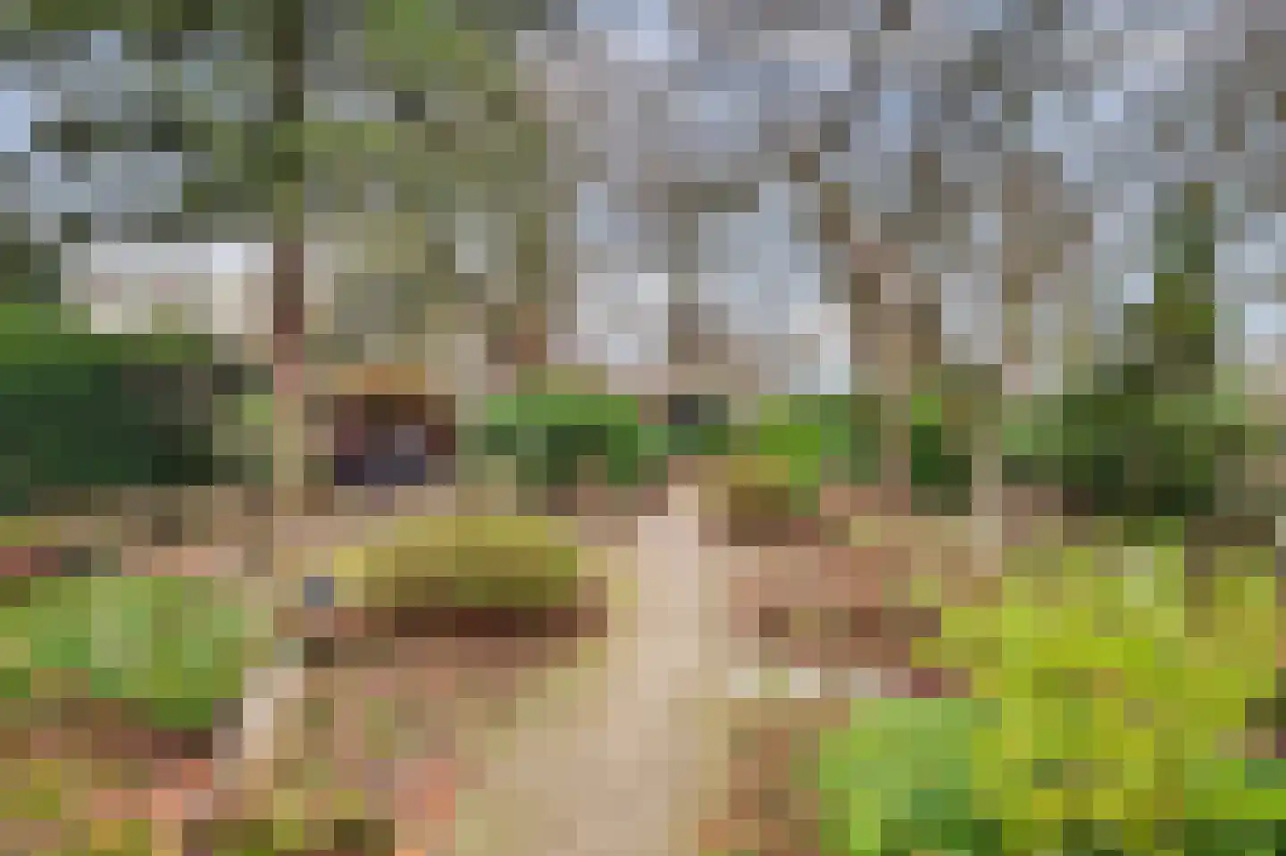 Laan van Rijnwijk 1 C1 Zeist thumbnail 30