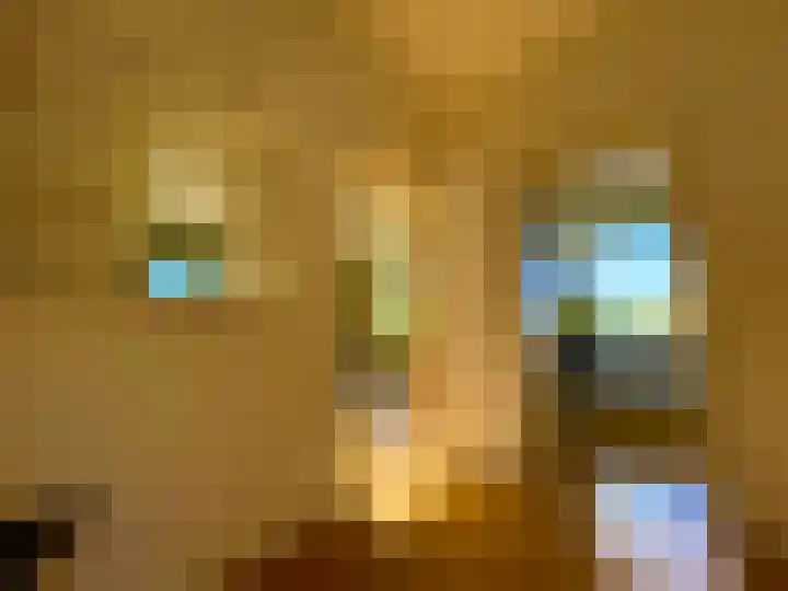 Laan van Rijnwijk 1 C5 Zeist thumbnail 18