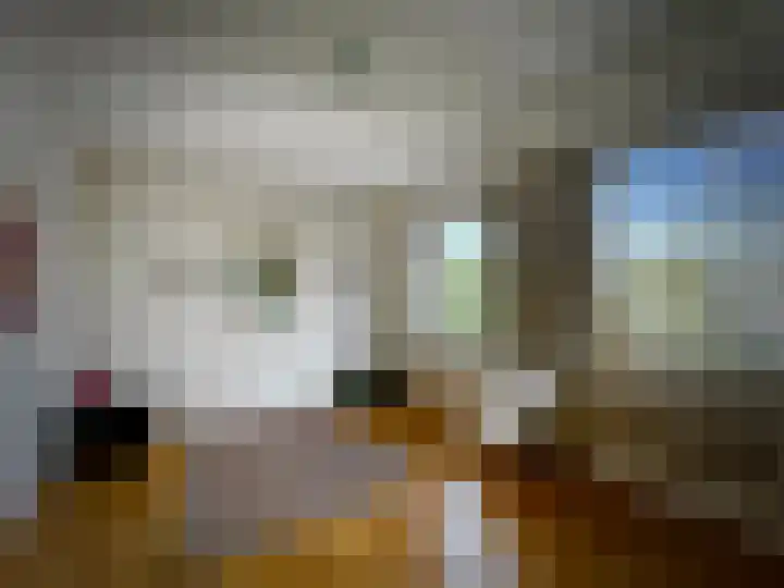 Laan van Rijnwijk 1 C5 Zeist thumbnail 21