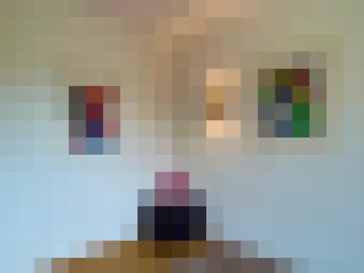 Laan van Rijnwijk 1 C5 Zeist thumbnail 23