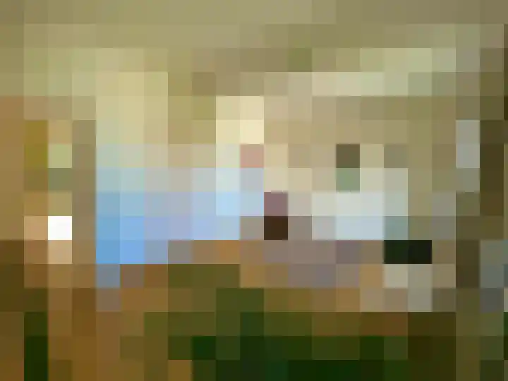 Laan van Rijnwijk 1 C5 Zeist thumbnail 24