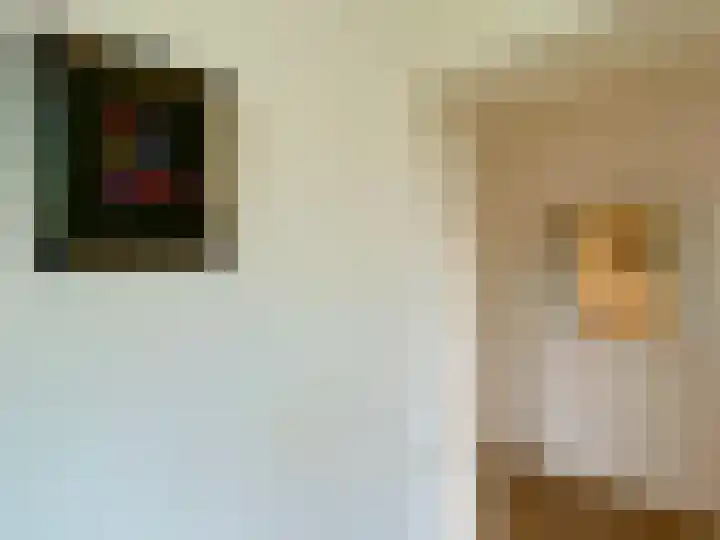 Laan van Rijnwijk 1 C5 Zeist thumbnail 26
