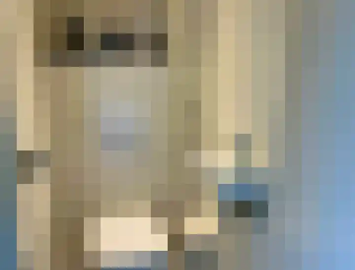 Laan van Rijnwijk 1 C5 Zeist thumbnail 27