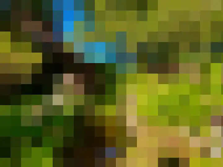 Laan van Rijnwijk 1 C5 Zeist thumbnail 28