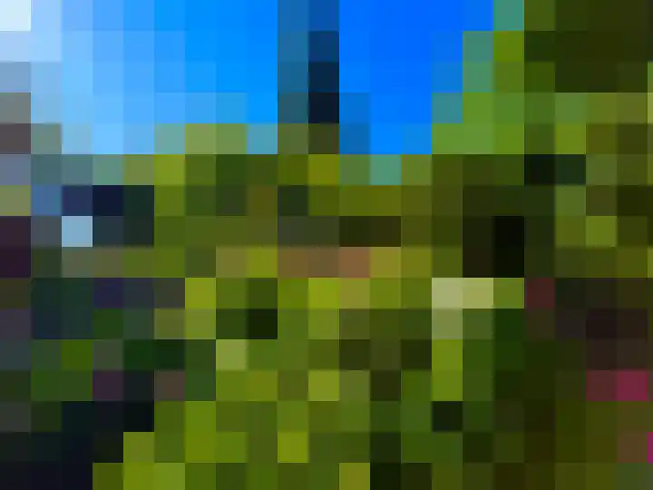 Laan van Rijnwijk 1 C5 Zeist thumbnail 29