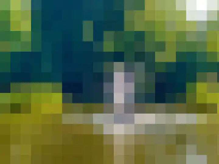 Laan van Rijnwijk 1 C5 Zeist thumbnail 33
