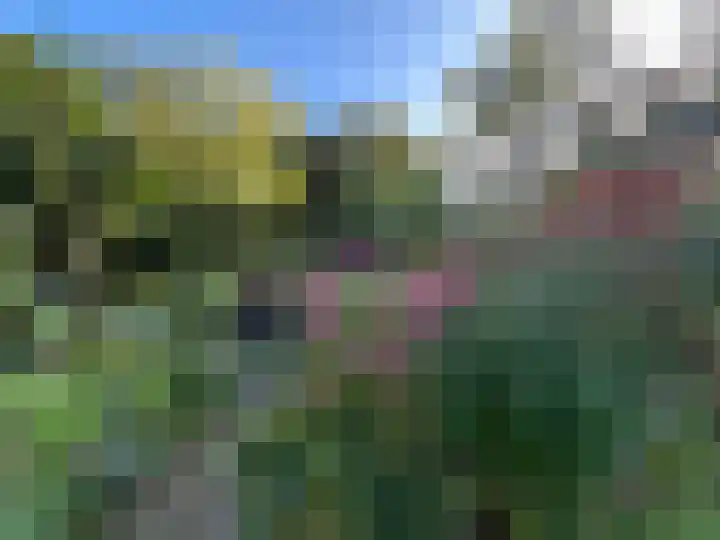 Laan van Rijnwijk 1 C5 Zeist thumbnail 35