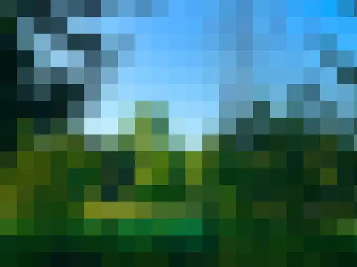 Laan van Rijnwijk 1 C5 Zeist thumbnail 37