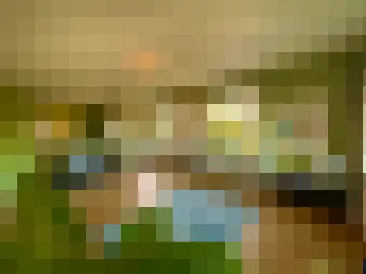 Laan van Rijnwijk 1 C5 Zeist thumbnail 5