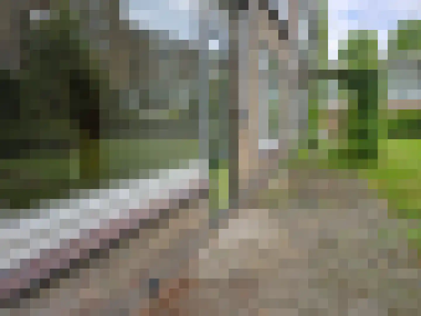 Laan van Rijnwijk 1 D04 Zeist thumbnail 13