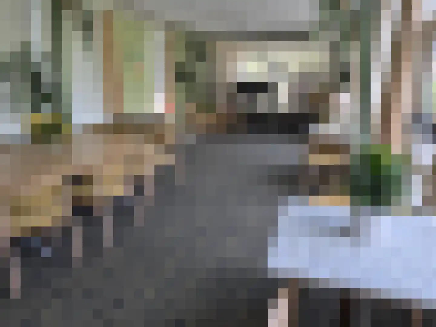 Laan van Rijnwijk 1 D04 Zeist thumbnail 25