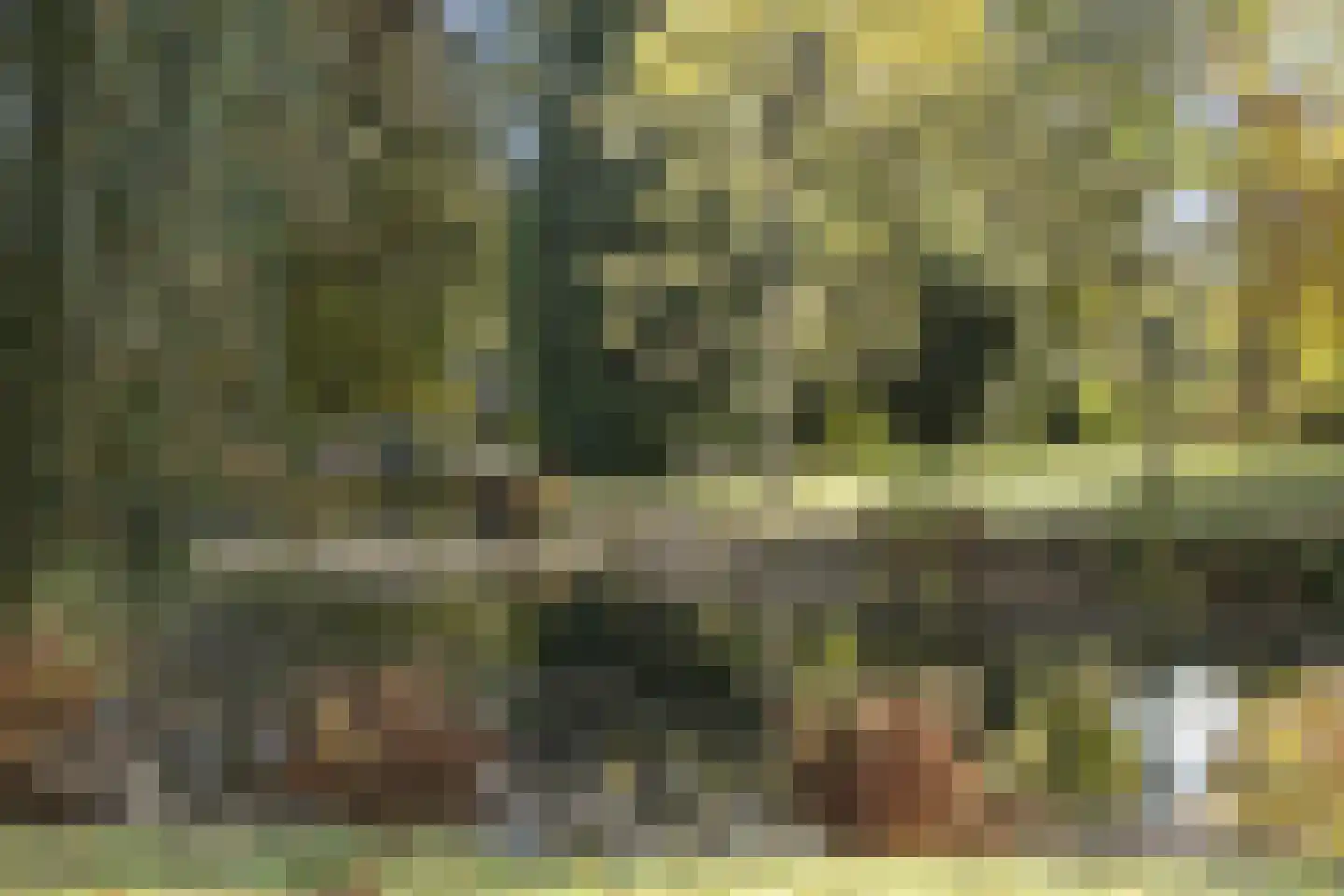 Laan van Rijnwijk 1 D04 Zeist thumbnail 26