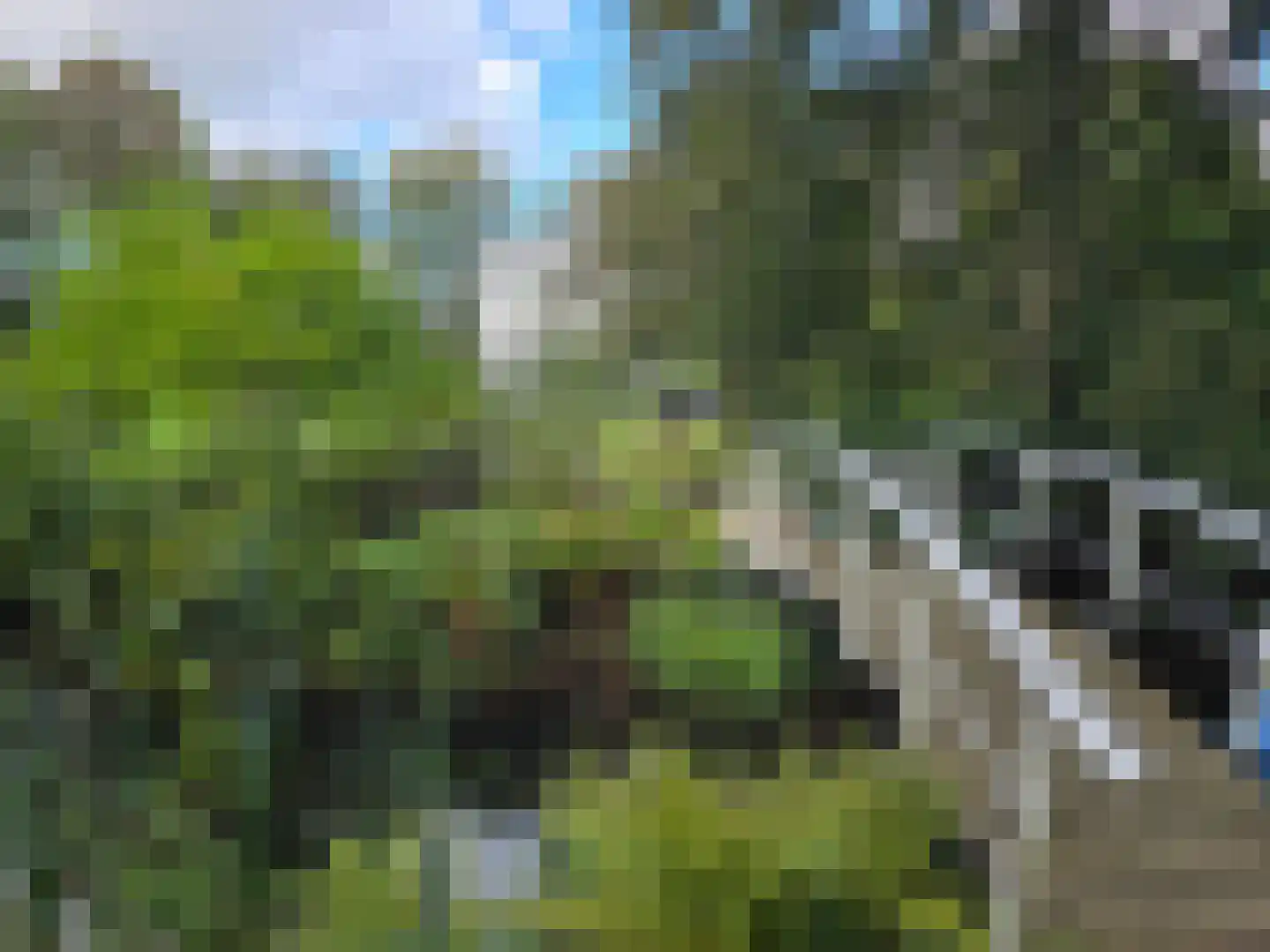 Laan van Rijnwijk 1 D04 Zeist thumbnail 27