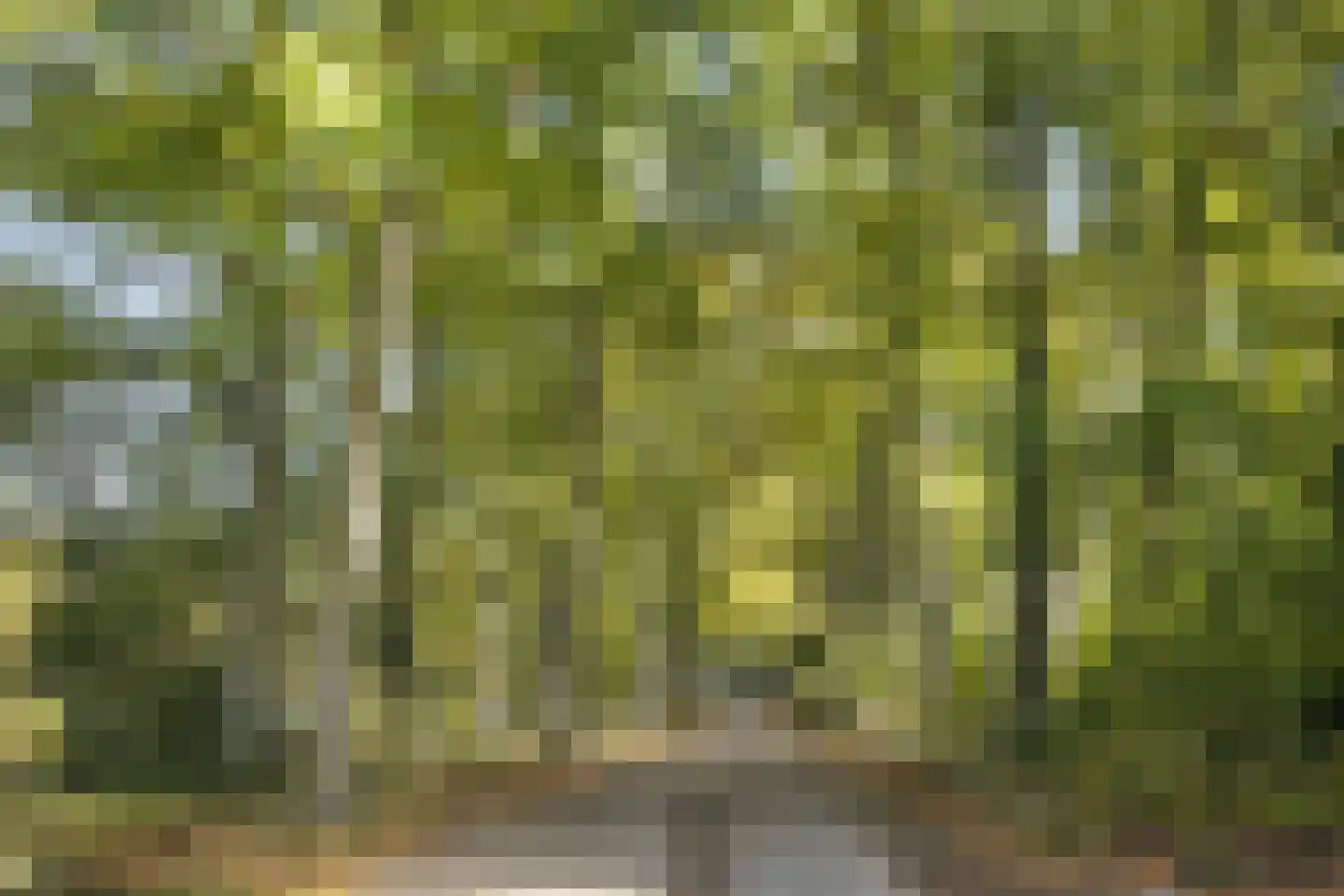 Laan van Rijnwijk 1 D04 Zeist thumbnail 28