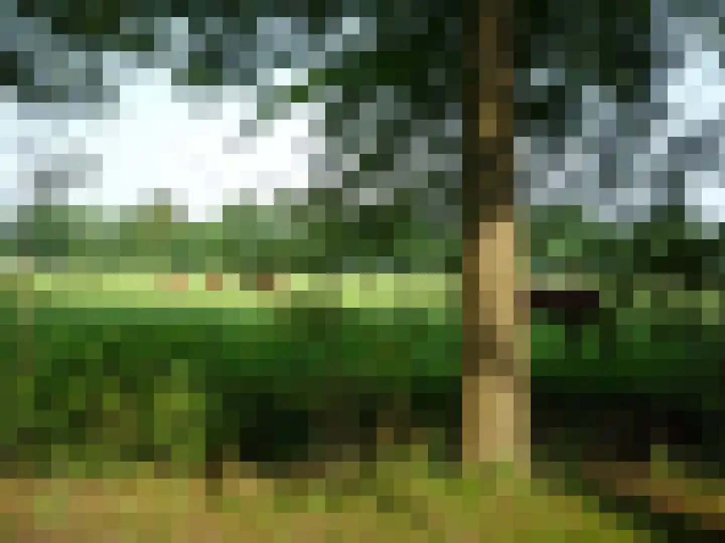 Laan van Rijnwijk 1 D04 Zeist thumbnail 29
