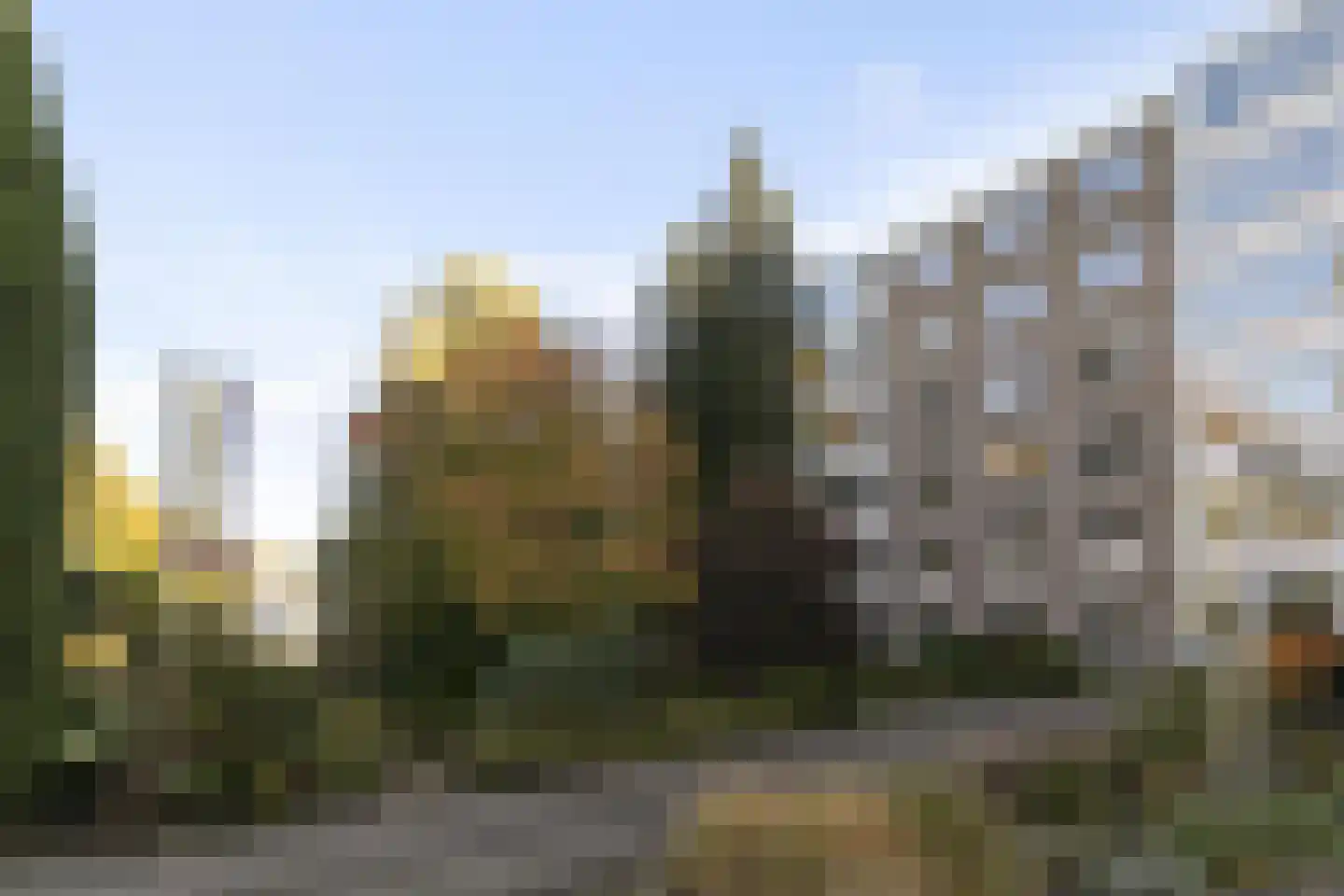 Laan van Rijnwijk 1 D04 Zeist foto 3