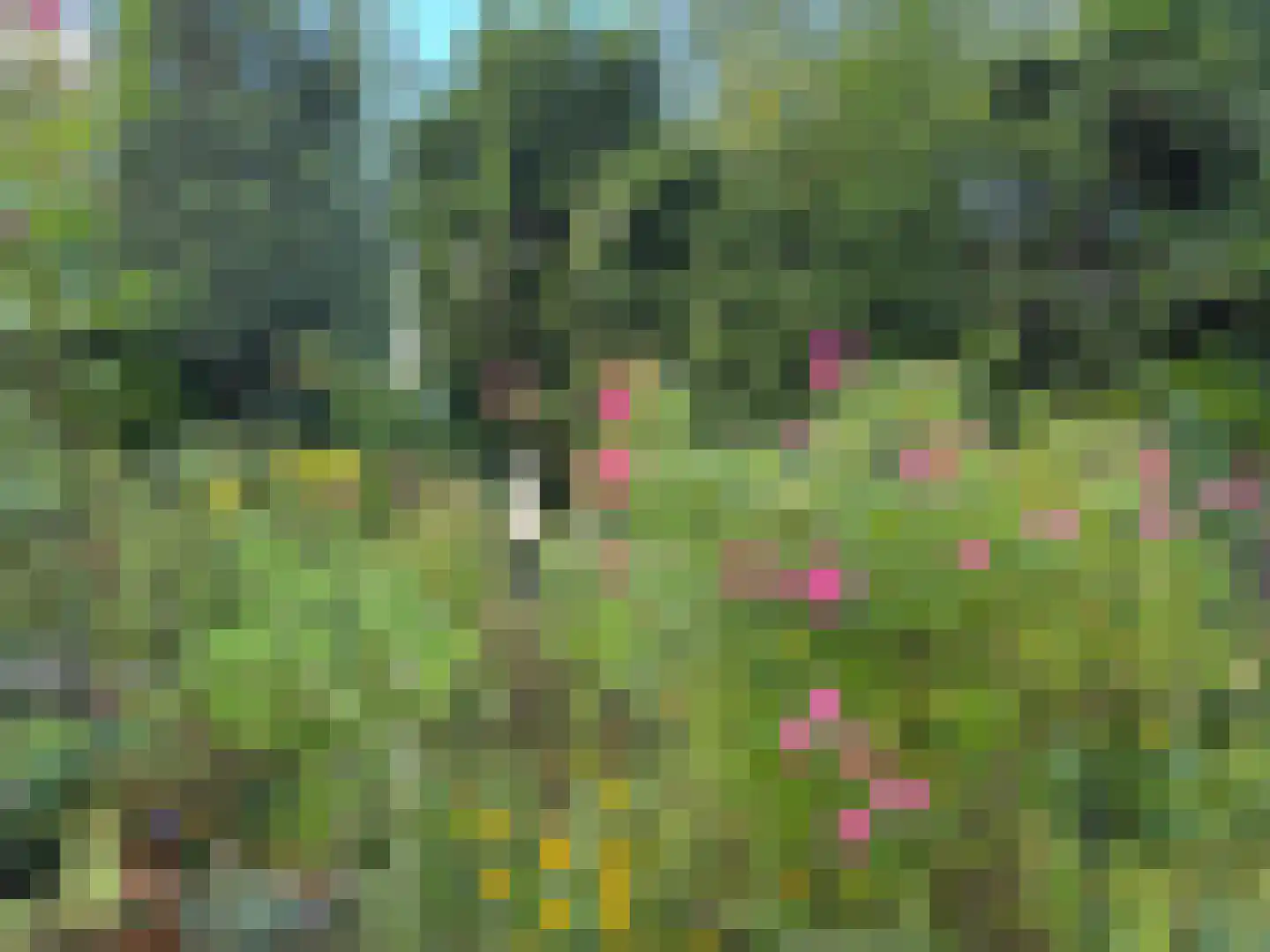 Laan van Rijnwijk 1 D04 Zeist thumbnail 31