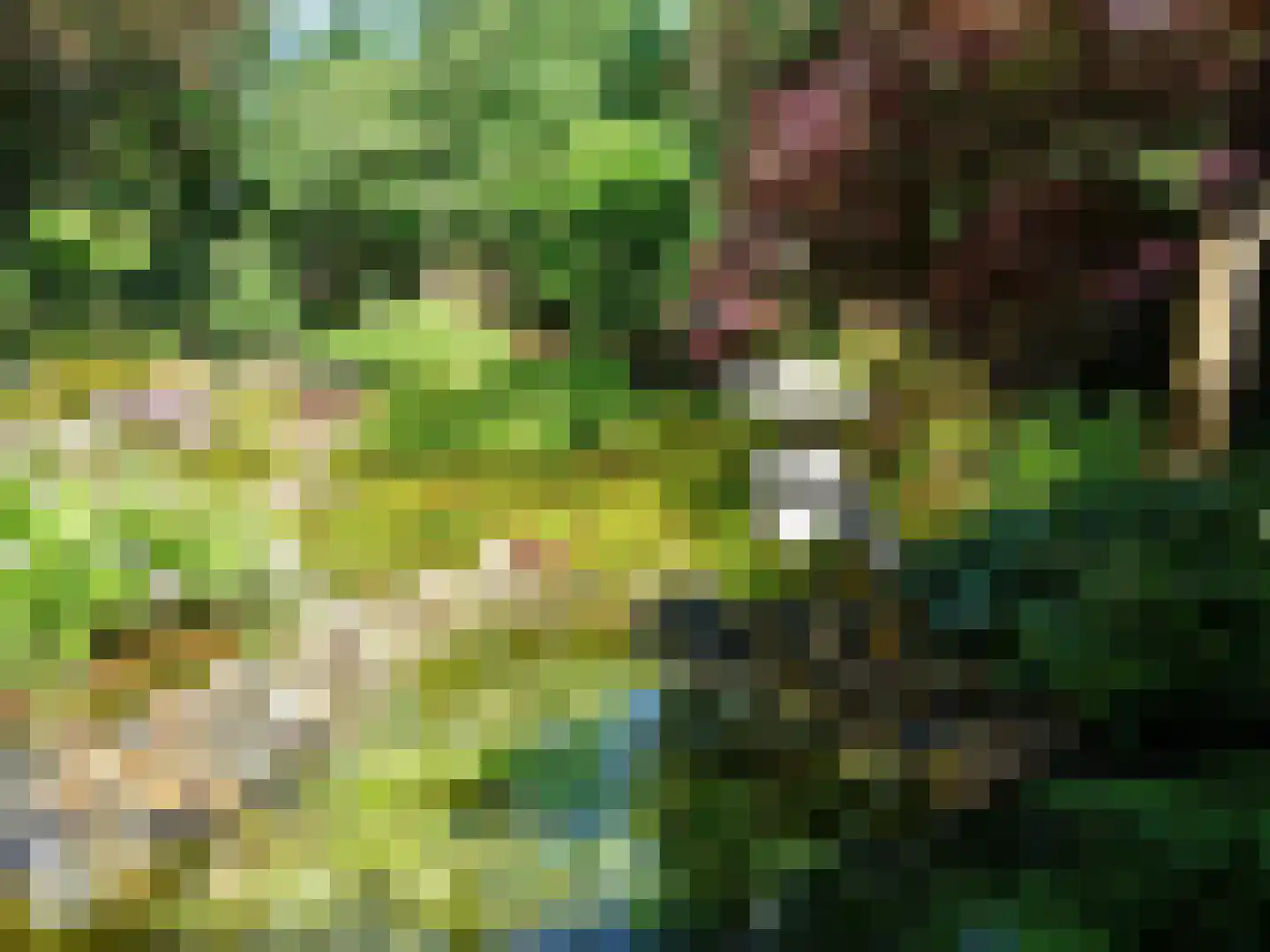 Laan van Rijnwijk 1 D04 Zeist thumbnail 32
