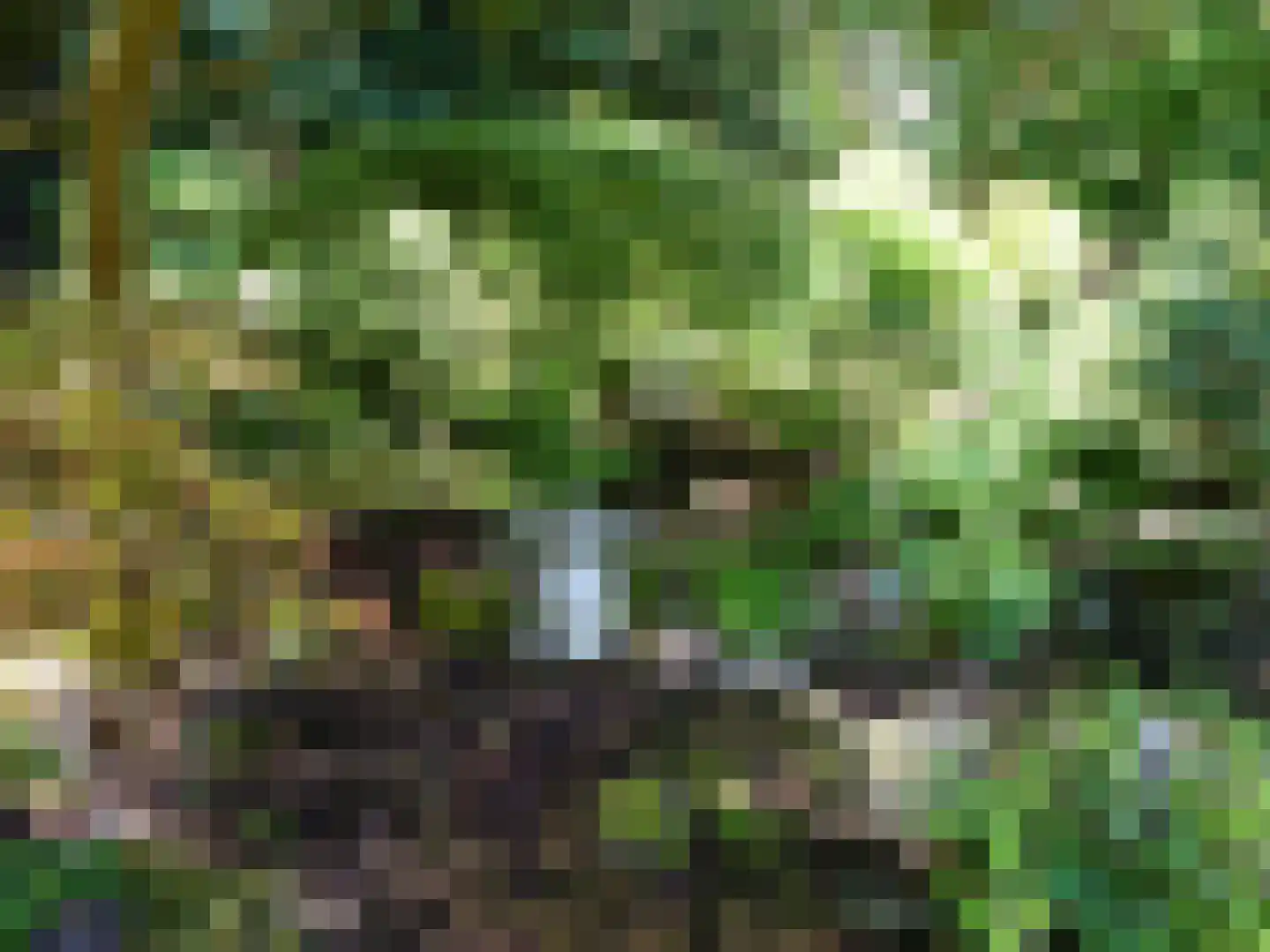 Laan van Rijnwijk 1 D04 Zeist thumbnail 33