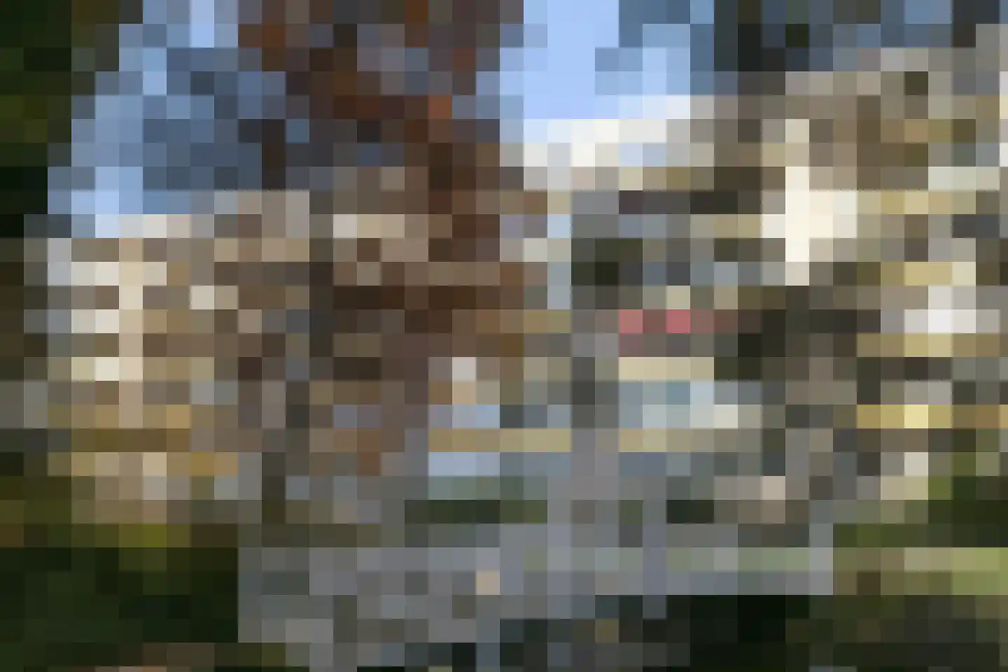 Laan van Rijnwijk 1 D04 Zeist thumbnail 4