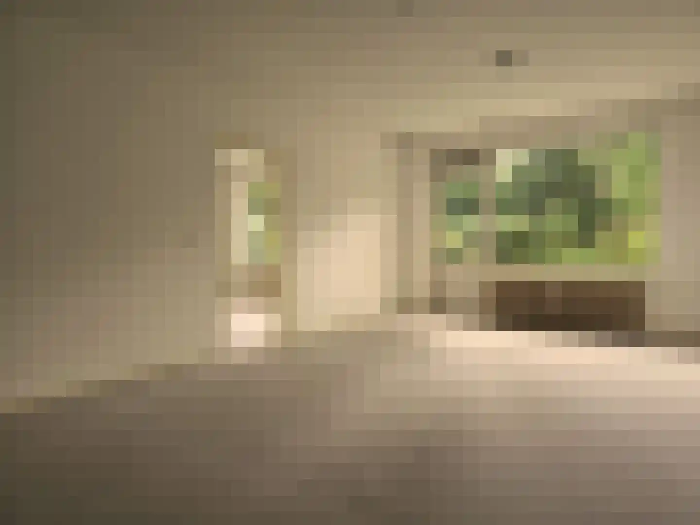 Laan van Rijnwijk 1 D04 Zeist thumbnail 8